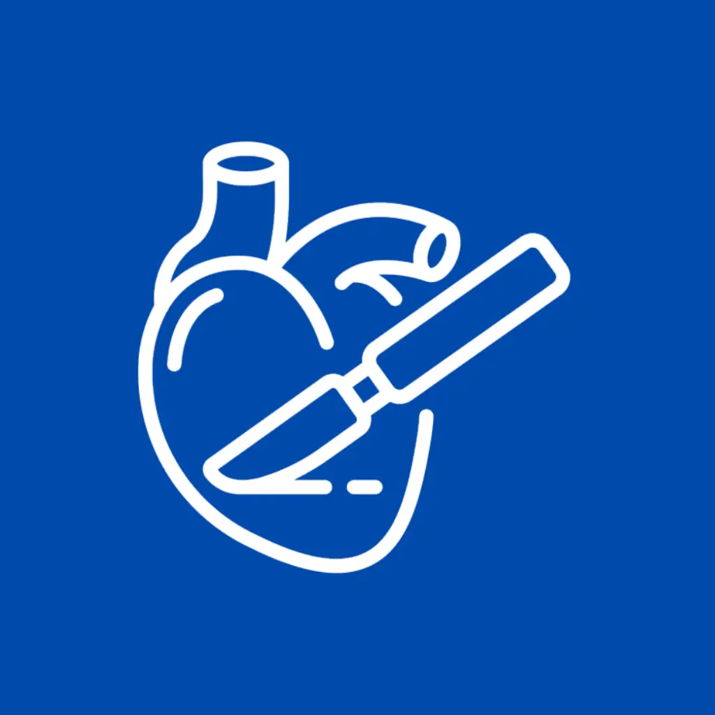 Instrumental quirúrgico cardiovascular y de tórax Surgiwell España